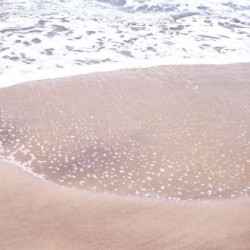  Succombez au Charme d'une Villa avec Plage Prive pour vos Vacances de Rve